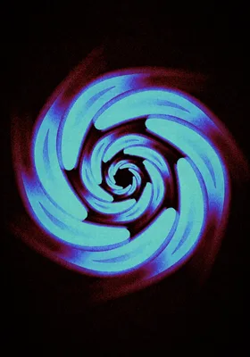 Petal Drift digital artwork
